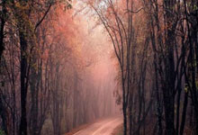 队报:马蒂奇再次身披雷恩球衣的可能性近乎为零.