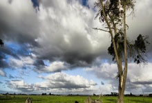 “这是完全不可接受的” – 马克斯·维斯塔彭(Max Verstappen.