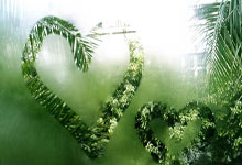 国际奥委会主席巴赫被授予上海体育大学“名誉教授”称号.